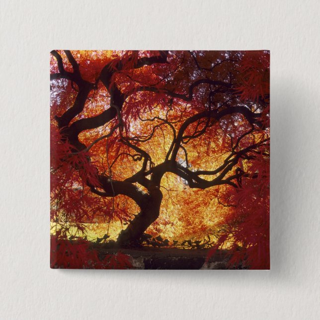 Bóton Quadrado 5.08cm Conexão: Darien, mapa japonês Acer (Frente)