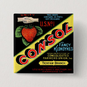 Bóton Quadrado 5.08cm Consol Rico Klondykes Strawberries