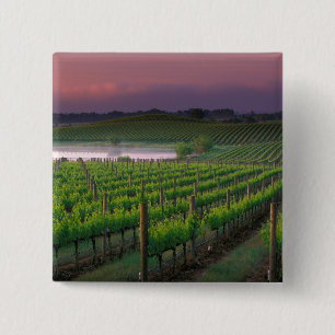 Bóton Quadrado 5.08cm Cor do sol no nevoeiro distante atrás