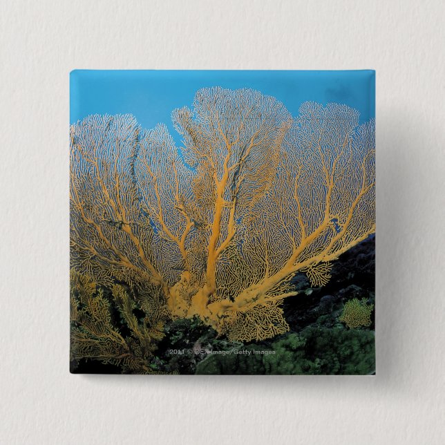 Bóton Quadrado 5.08cm Coral de Gorgonian (Frente)