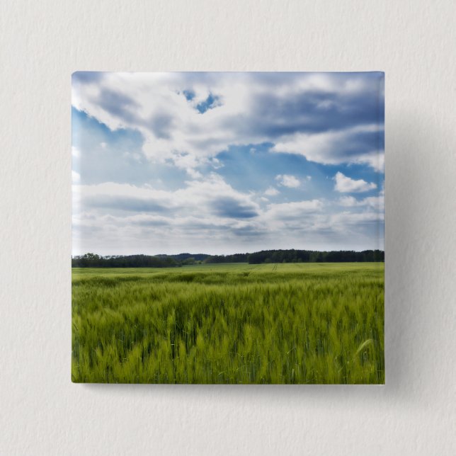 Bóton Quadrado 5.08cm Cornfields Verdes e Céu Azul (Frente)