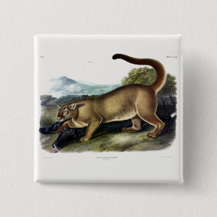 Bóton Quadrado 5.08cm Cougar ou Puma, Pantera, Leão de Montanha, Catmont