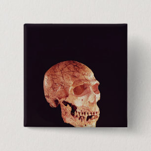 Bóton Quadrado 5.08cm Crânio do Neanderthal, descoberto em Mt Carmel