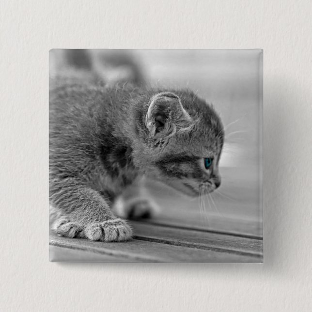 Bóton Quadrado 5.08cm Crouching Kitten (Frente)