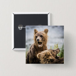 Bóton Quadrado 5.08cm Cubos Grizzly Procurando Sua Mãe