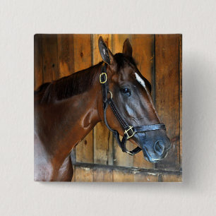 Bóton Quadrado 5.08cm Curalina