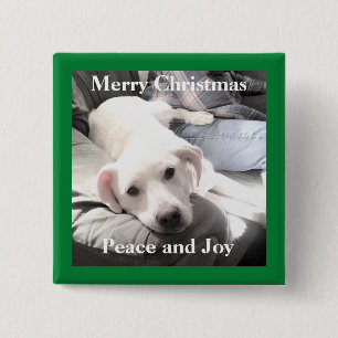 Bóton Quadrado 5.08cm Cute White Puppy Dog With Dad on Couch Green