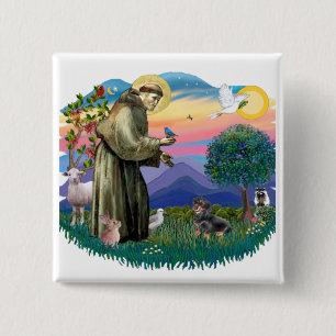 Bóton Quadrado 5.08cm Dachshund (preto e bronzeado)