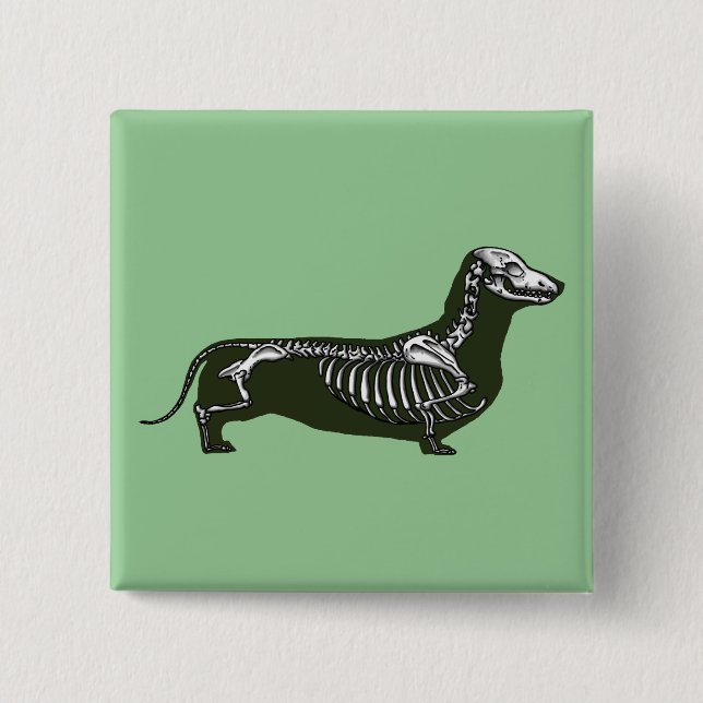 Bóton Quadrado 5.08cm dachshund skeleton (Frente)