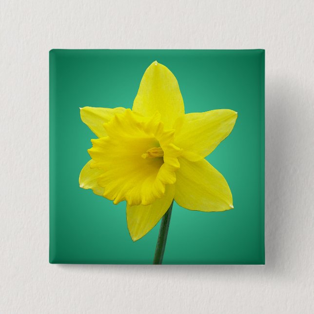 Bóton Quadrado 5.08cm Daffodil de Galês - IV - quadrado (Frente)