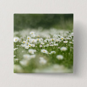 Bóton Quadrado 5.08cm Daisy Meadow