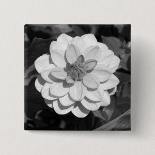 Bóton Quadrado 5.08cm Dália "David Howard" B&W