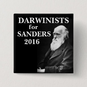 Bóton Quadrado 5.08cm Darwinists para máquinas de lixar
