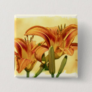 Bóton Quadrado 5.08cm Dayllírios - Hemerocallis