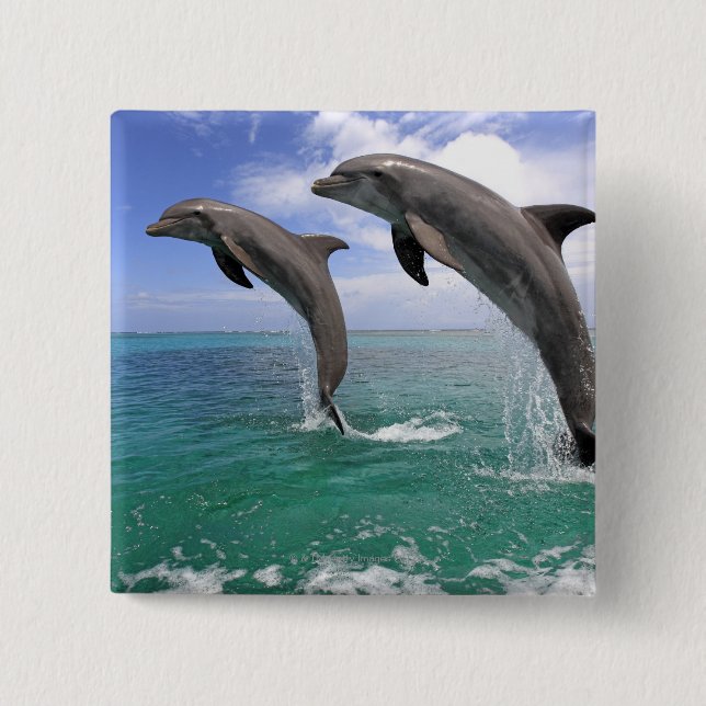 Bóton Quadrado 5.08cm Delfin (Frente)