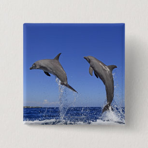 Bóton Quadrado 5.08cm Delfin 2