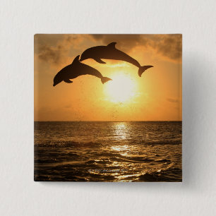 Bóton Quadrado 5.08cm Delfin 3