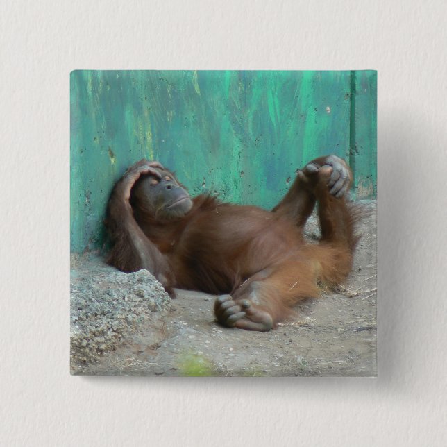 Bóton Quadrado 5.08cm Descanso do orangutang do bebê (Frente)