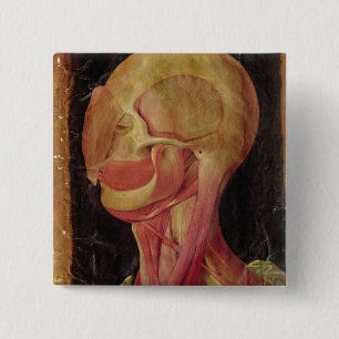 Bóton Quadrado 5.08cm Desenho anatômico da cabeça humana