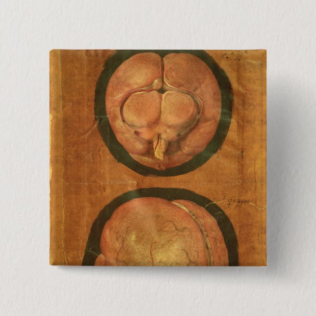 Bóton Quadrado 5.08cm Desenho anatômico do cérebro humano (Frente)