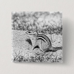 Bóton Quadrado 5.08cm Desenho do Chipmunk