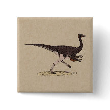 Dinossauro Cretáceo Ornithomimus