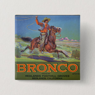 Bóton Quadrado 5.08cm Do "laranjas bronco", c.1900 (litho da cor)