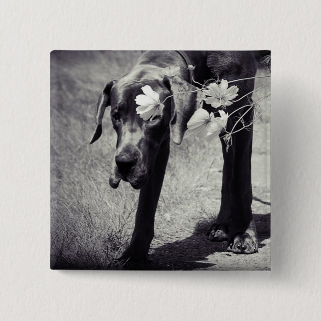 Bóton Quadrado 5.08cm Dogge Balu (Frente)