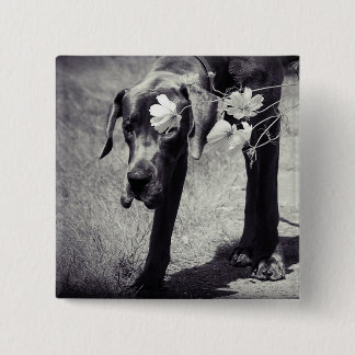 Bóton Quadrado 5.08cm Dogge Balu