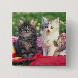 Bóton Quadrado 5.08cm Dois gatinhos que sentam-se em uma cobertura