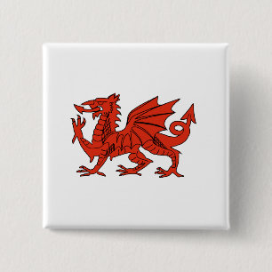 Bóton Quadrado 5.08cm Dragão vermelho