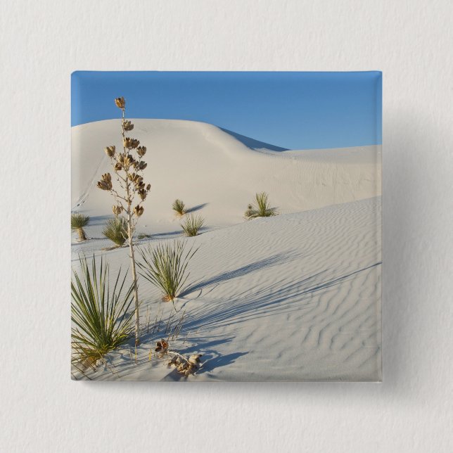 Bóton Quadrado 5.08cm Dunas Transversais, Yucca, sombras (Frente)