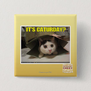 Bóton Quadrado 5.08cm É Caturday?