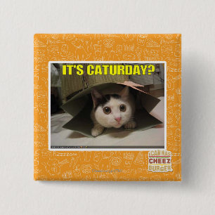 Bóton Quadrado 5.08cm É Caturday?