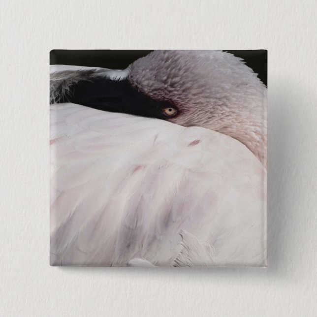 Bóton Quadrado 5.08cm Efeito de Desenho de Retrato de Flamingo Rosa Arte (Frente)