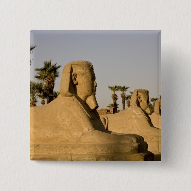 Bóton Quadrado 5.08cm Egito, Luxor. A Avenida de Esfinges leva a (Frente)
