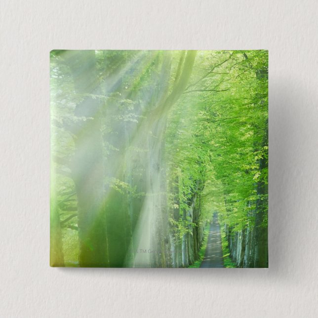 Bóton Quadrado 5.08cm Eixos da luz solar (Frente)