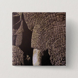 Bóton Quadrado 5.08cm Elefante Bull