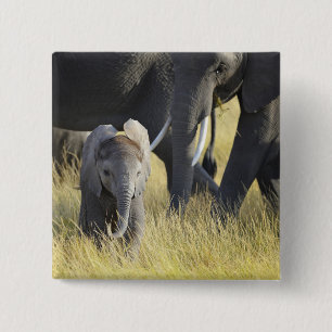 Bóton Quadrado 5.08cm Elefante do bebê