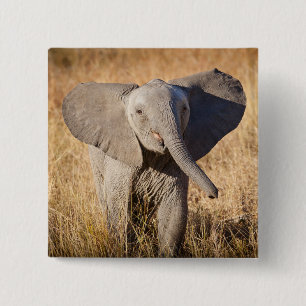 Bóton Quadrado 5.08cm Elefante jovem da savana