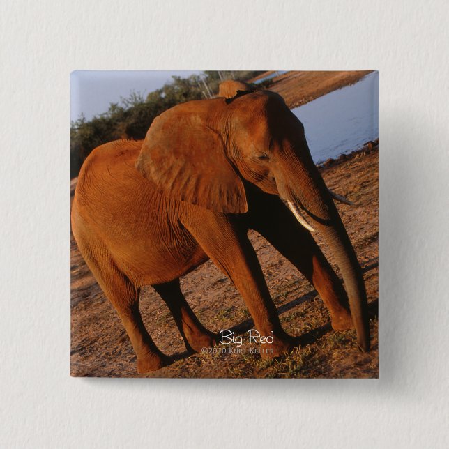 Bóton Quadrado 5.08cm Elefante Vermelho Grande (Frente)