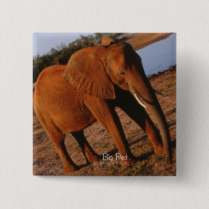 Bóton Quadrado 5.08cm Elefante Vermelho Grande