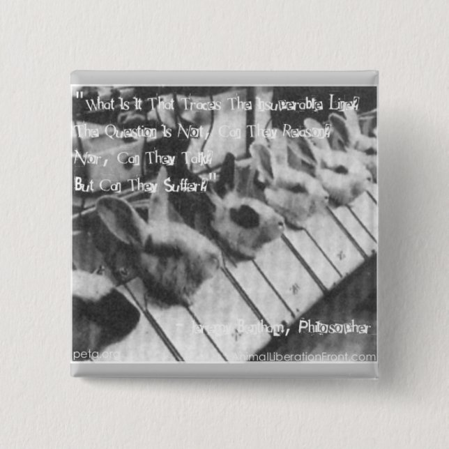 BÓTON QUADRADO 5.08CM ELIMINE VIVISECTIONS (Frente)