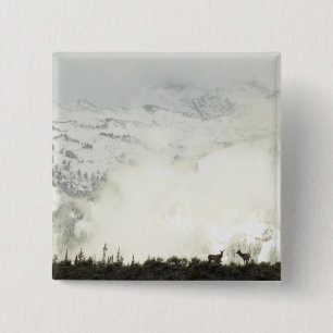 Bóton Quadrado 5.08cm Elk no Grand Teton National Park Fotografia