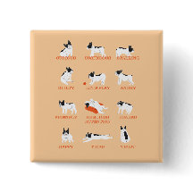 emoção de cachorro