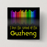 Equalizador de som digital Rainbow Guzheng