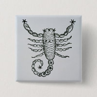 Escorpião (o escorpião) uma ilustração 'do P