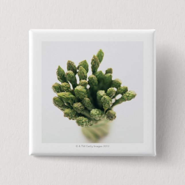 Bóton Quadrado 5.08cm Espargos Verdes (Frente)