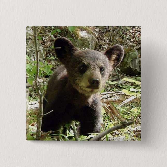 Bóton Quadrado 5.08cm Espere o botão do urso (Frente)