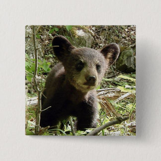 Bóton Quadrado 5.08cm Espere o botão do urso